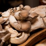 虎博娱乐:探索在线娱乐的新趋势与魅力 25ayxdytc