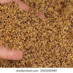 CCTV17农业农村频道高清在线直播观看入口 8uhxw19