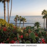 CCTV12一线直播:直击案件现场,追踪法治前沿 9ycix2n