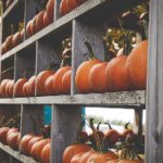 CCTV1中央一套高清在线直播观看入口 sy6irzut