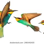 CCTV-4中文国际频道高清直播在线观看 xep2a1u