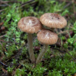 《快乐大PK》精彩直播欢乐对决火爆开启 d4e285fqyl