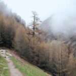 《快乐大本营》最新一期直播观看指南与精彩看点 t06goag